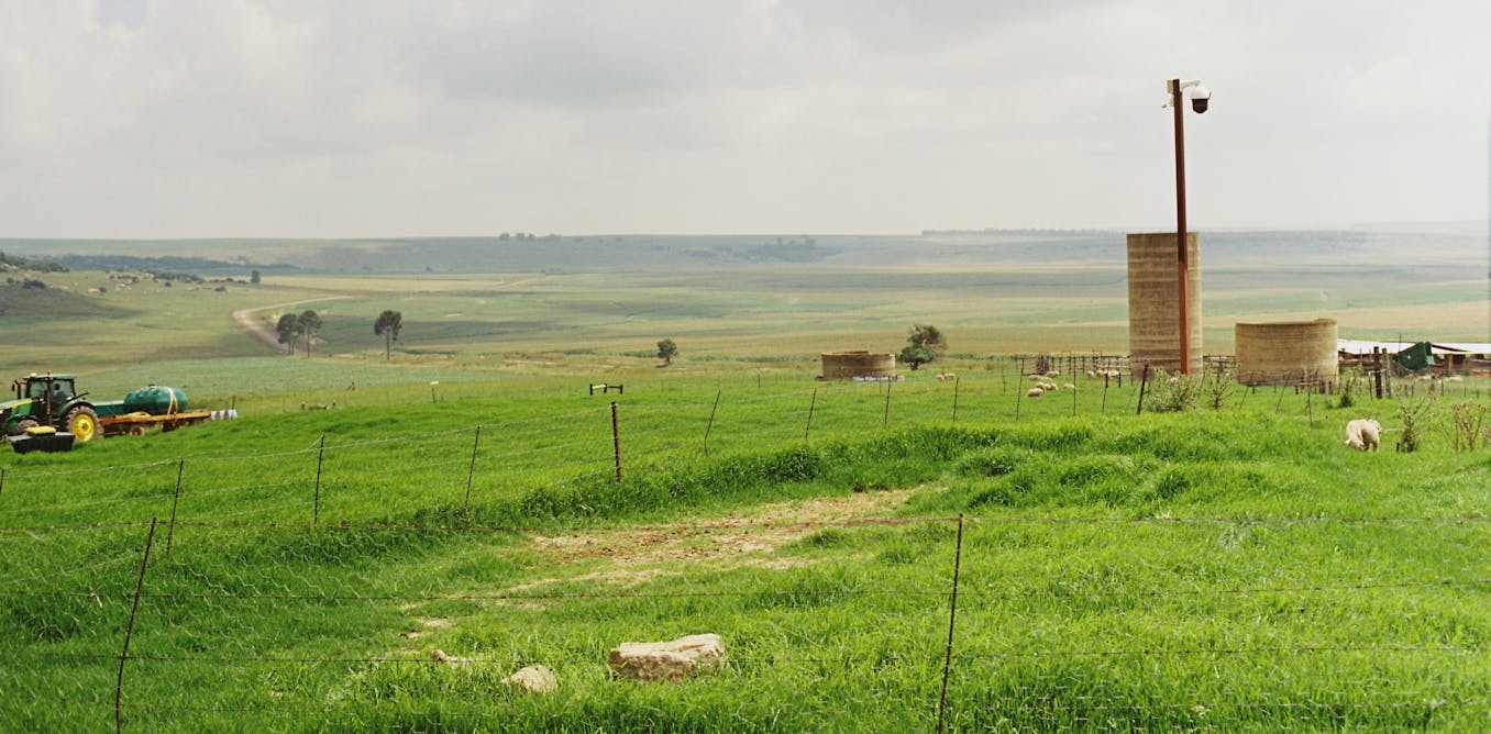 How white farmers still dominate land ownership in South Africa in spite of land reform – new research