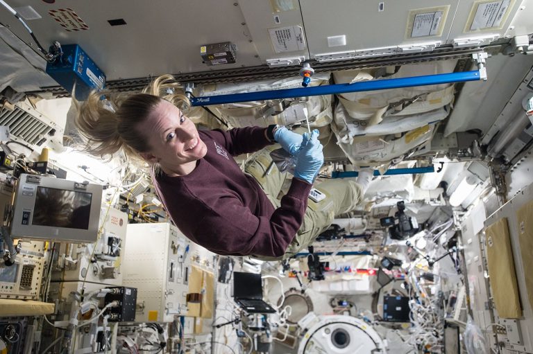 Human-Related Microbes May Survive Moon’s South Pole, NASA Finds