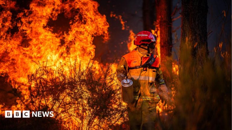 Hundreds arrested over French wildfires, but who is to blame?