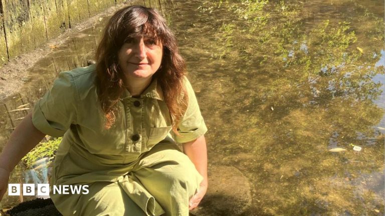 Hundreds of dead fish in river linked to heatwave