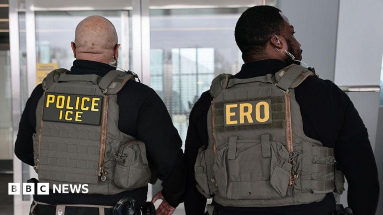 ICE plans to equip agents with gloves that can deliver electric shocks