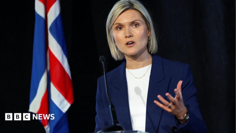 Iceland votes against restarting EU membership talks