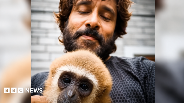 Indian actor’s video with endangered gibbon sparks investigation