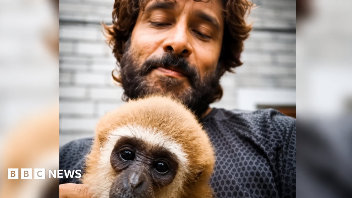 Indian actor’s video with endangered gibbon sparks investigation