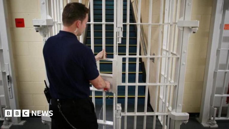 Justice secretary apologises to families affected by early release scheme