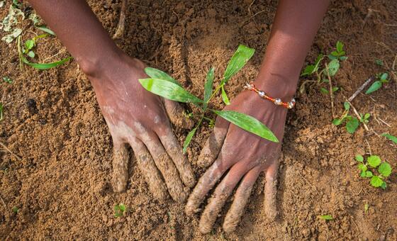 Land degradation is costing far more than restoring: UN deputy chief