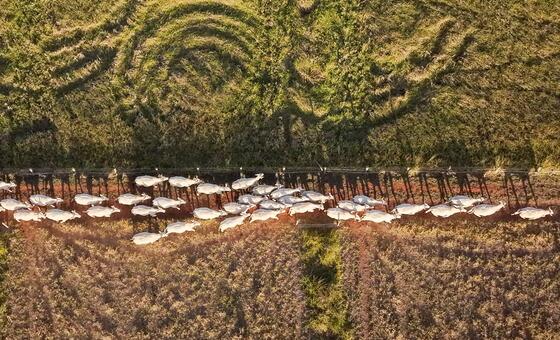 Land models sprout as degradation threatens billions of livelihoods