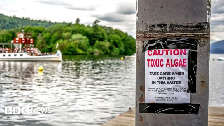 Majority of England’s rivers and lakes fail new environmental review