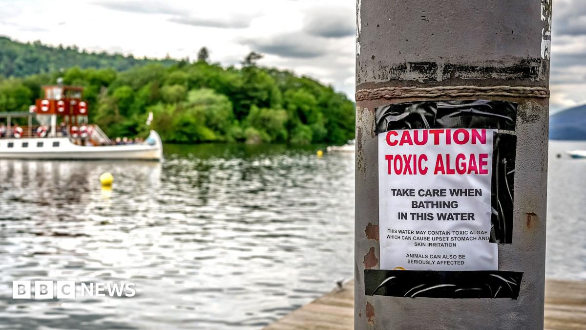 Majority of England’s rivers and lakes fail new environmental review