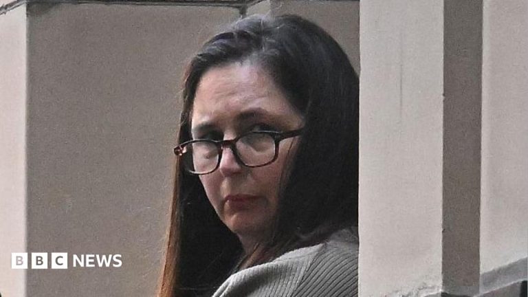 Mushroom murderer Erin Patterson is appealing – here’s what you need to know