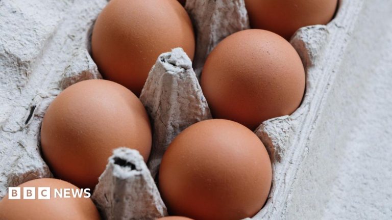 One dead and hundreds ill in UK salmonella outbreak