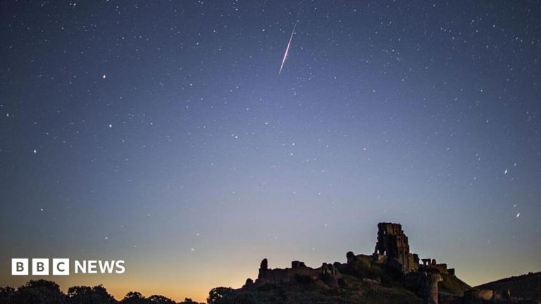 Perseid meteor shower reaches peak: When and where to catch a glimpse