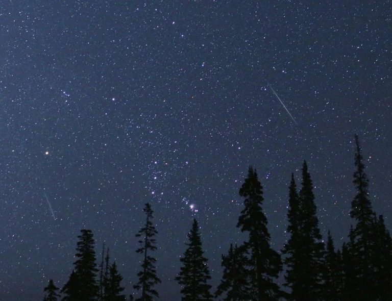 Perseids Meteor Shower