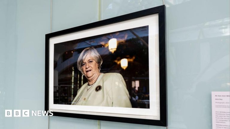 Portrait of Ann Widdecombe put up in Parliament for MPs’ return