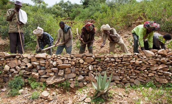 Protecting our ‘most vital infrastructure’: Pushing back on desertification