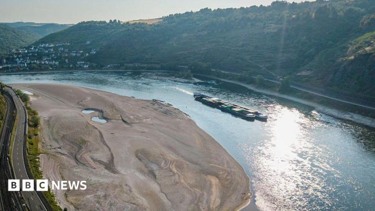 Rhine falls to record low levels as drought strains Europe’s rivers