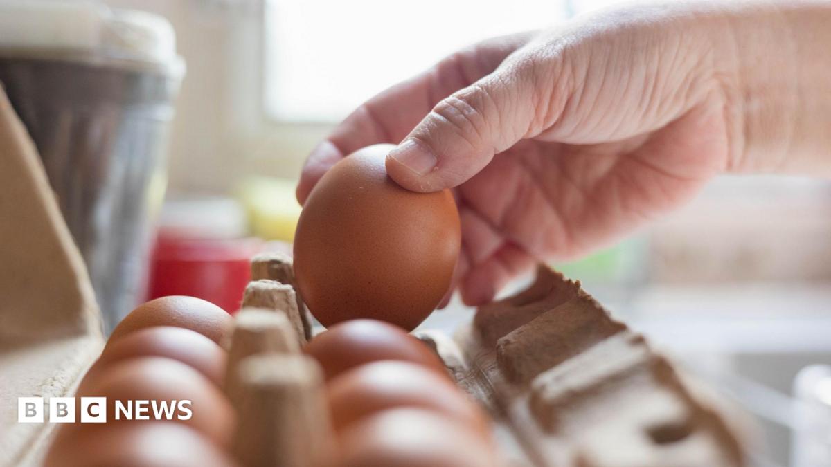Salmonella outbreak: What we know so far