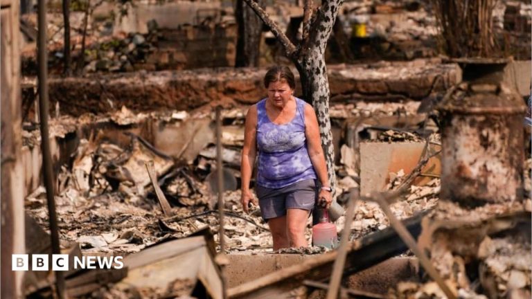Scale of devastation shocks US city’s fire-seasoned residents