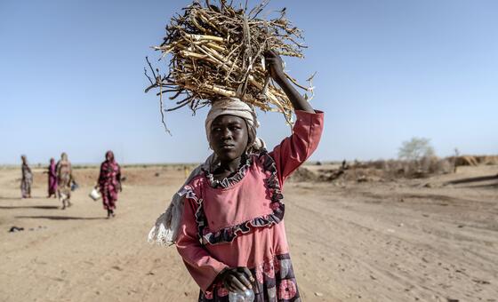 Security Council LIVE: War, hunger, flooding escalates in Sudan