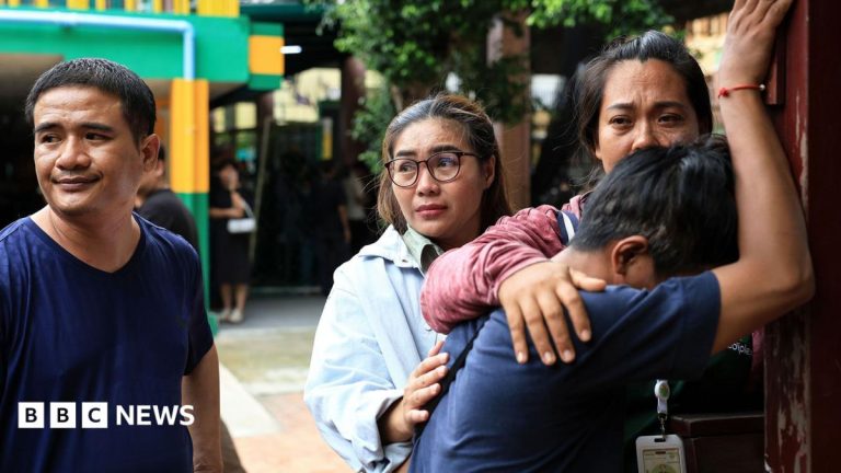Seven killed after Thai student opens fire at home and school