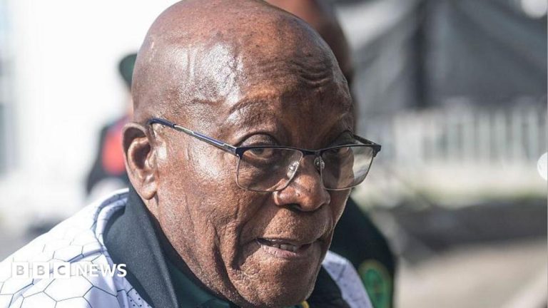 South Africa plans new rules on ex-leaders’ foreign trips after Zuma’s visit to India