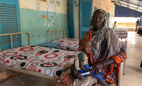 Sudan: Attacks and further displacement in Blue Nile and North Kordofan
