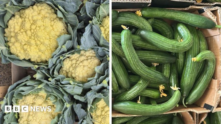 Sun-tanned cauliflowers and knobbly spuds – the heatwave veg that’s good to eat