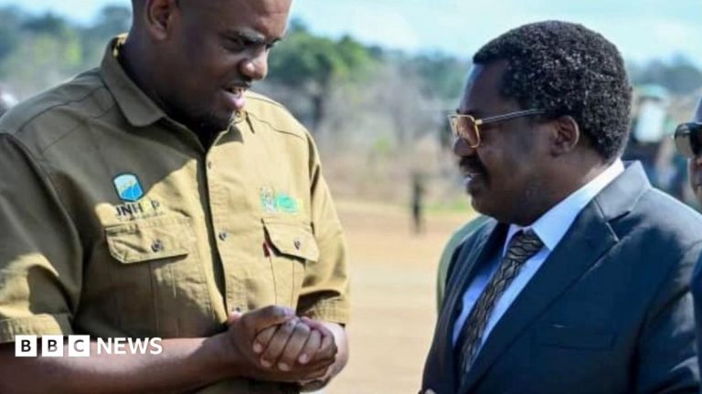 Tanzania’s VP expelled from ruling party for indiscipline as his successor named