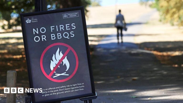 Temporary ban on disposable BBQs as military deployed to help battle wildfires