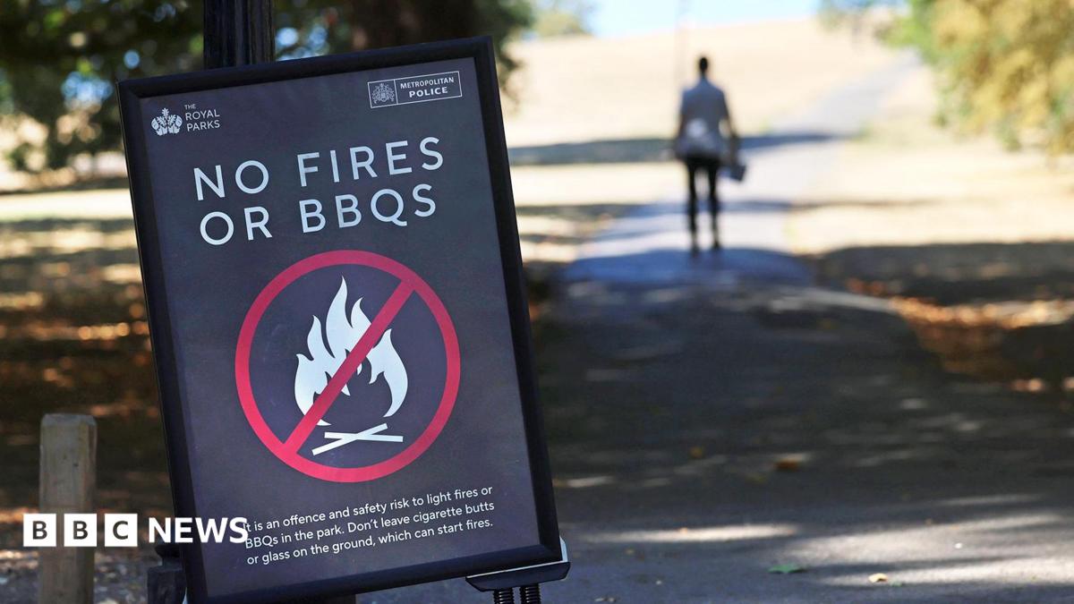 Temporary ban on disposable BBQs as military deployed to help battle wildfires
