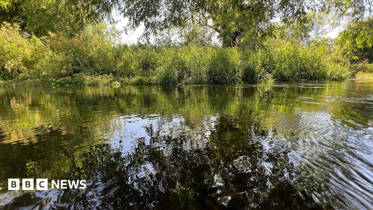 Thames Water ‘flagship’ chalk stream rated as poor