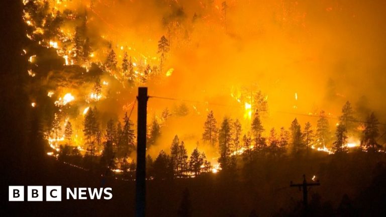 ‘That fire came so fast’: Wildfire rages in British Columbia