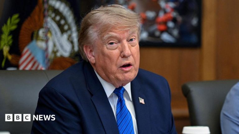 Trump says he is cancelling strikes on Iran subject to deal being made ‘rapidly’