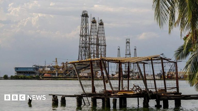 Trump says US has ‘historic’ deal to control 65bn barrels of Venezuela’s oil