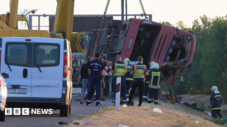 Twelve killed as Polish bus veers off Hungarian motorway