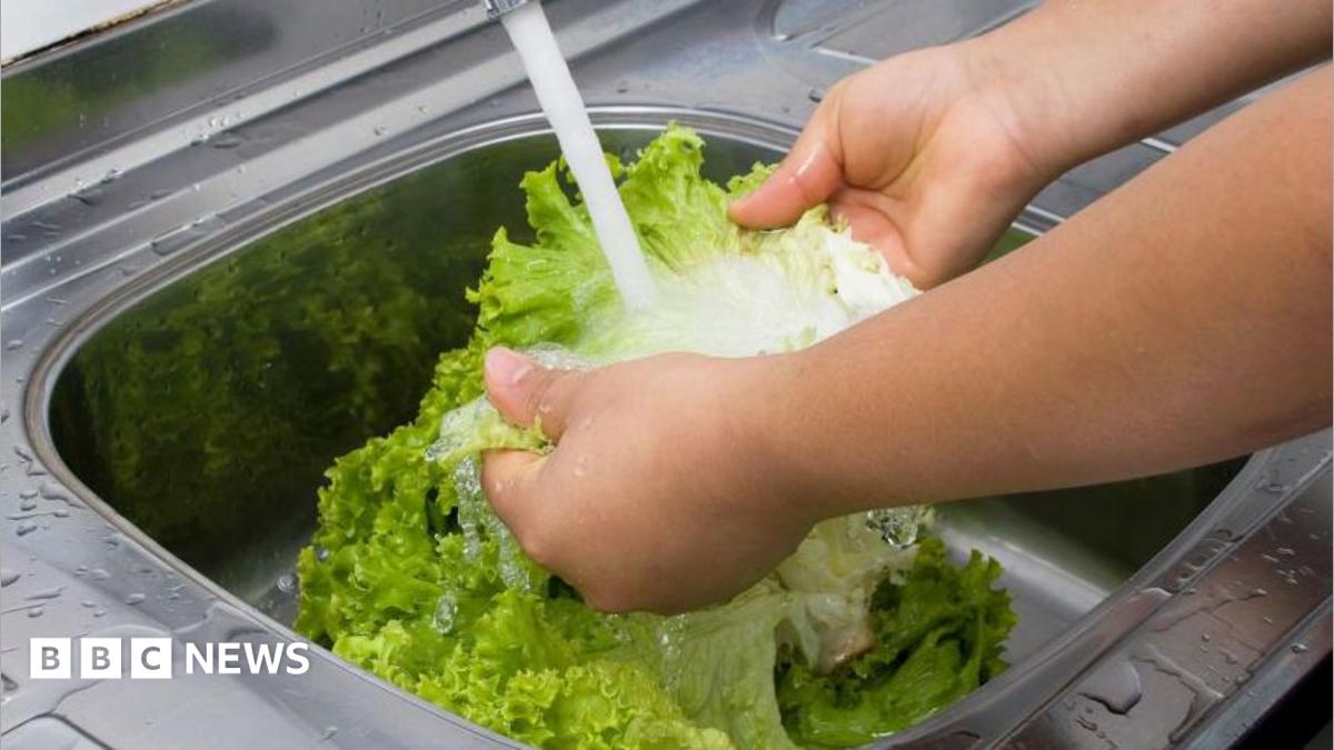 US reports first two deaths linked to ‘explosive diarrhoea’ outbreak