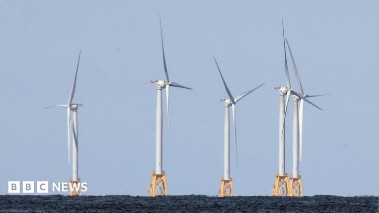 US strikes $1.2bn deal to pay German firm to halt offshore wind projects