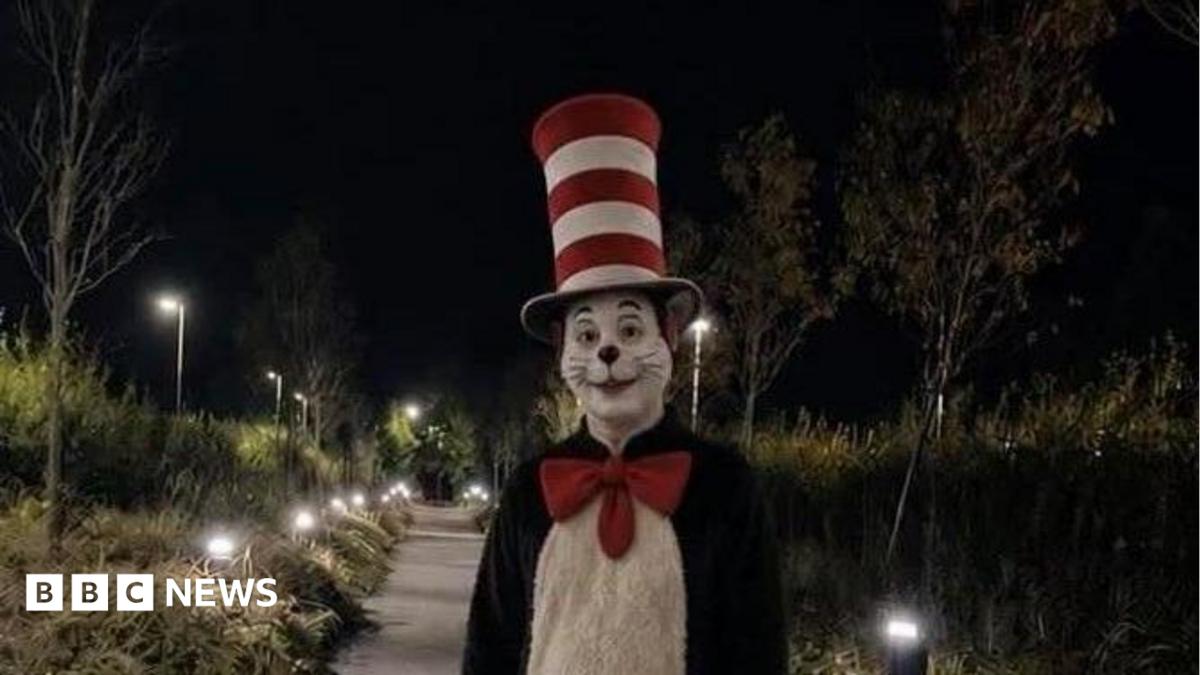 Viral ‘Cat in the Hat’ TikTok trend sparks fun fake videos but also real fear