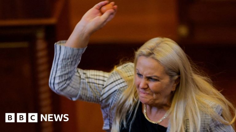 Watch: Moment opposition MP throws eggs at Kosovo’s acting PM