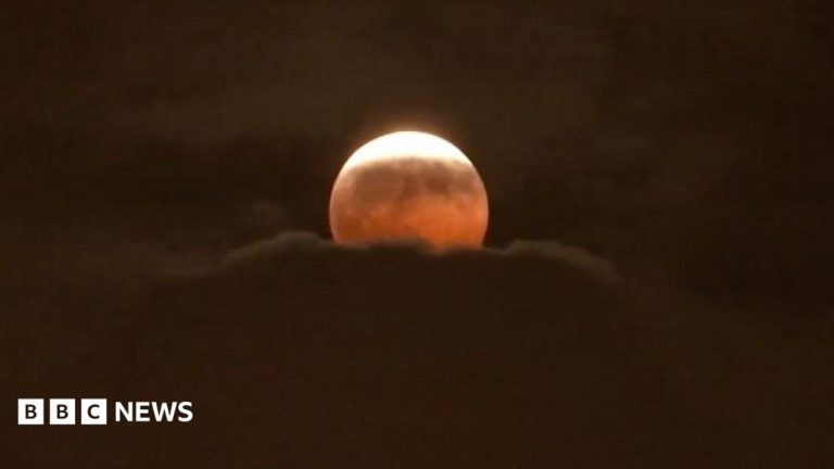 Watch: Stargazers around the world glimpse ‘Blood Moon’ lunar eclipse