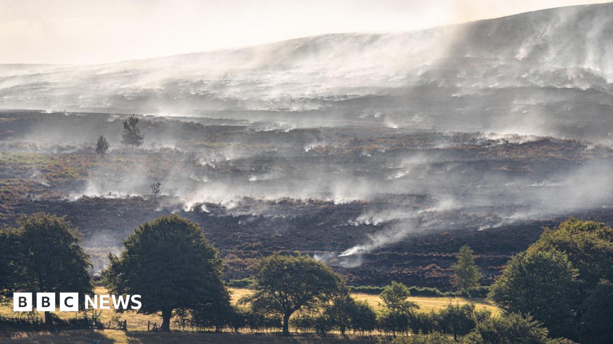 Welsh county becomes global hotspot for carbon emissions after wildfires