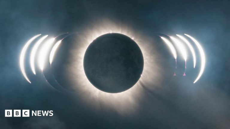What can we see during the partial solar eclipse?