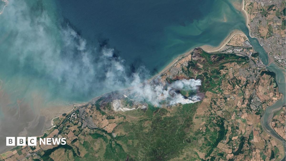 Wildfire damage could take hundreds of years to recover from, experts say