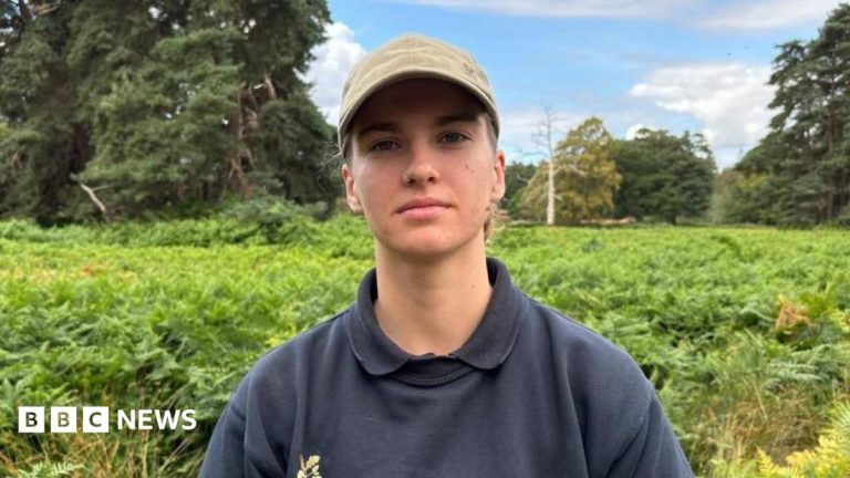 Work at National Trust site to prevent flooding