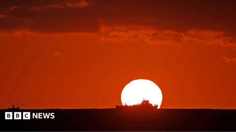 World’s oceans hit highest temperature on record as El Niño grows
