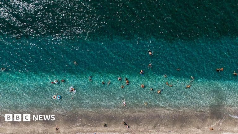 World’s oceans hit record-high July temperatures