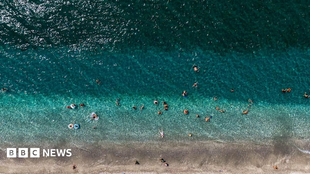 World’s oceans hit record-high July temperatures