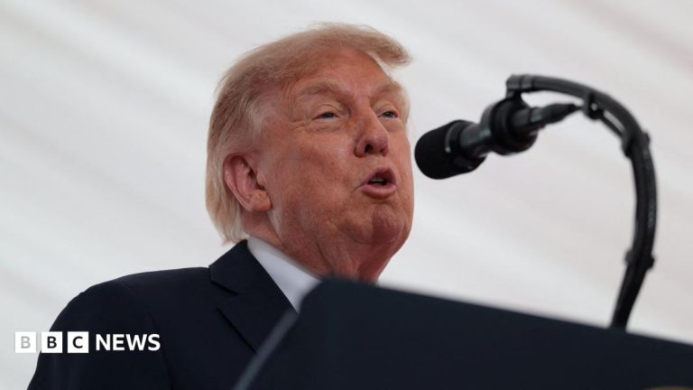 A united Ireland would be ‘fantastic’ says Trump during Irish visit