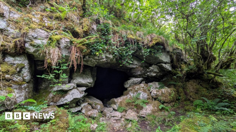 Ancient cave art discovery suggests first known humans in Ireland walked over from Wales