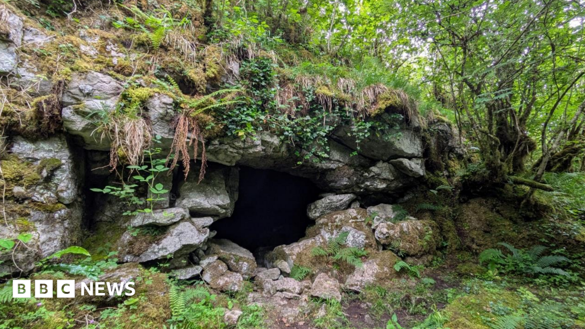 Ancient cave art discovery suggests first known humans in Ireland walked over from Wales